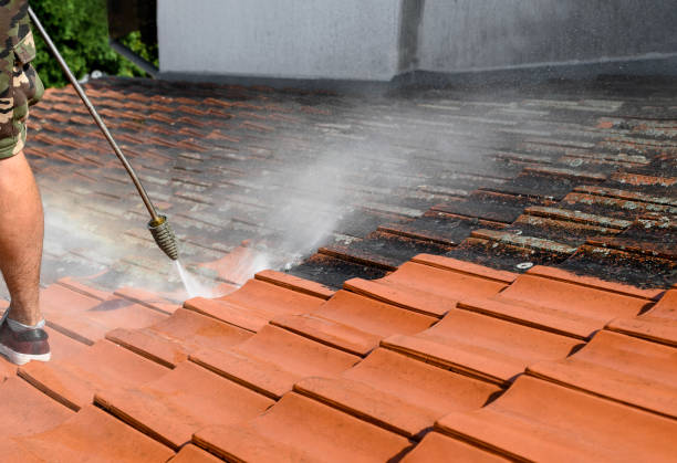 Best Deck Cleaning Services  in Liolnton, NC